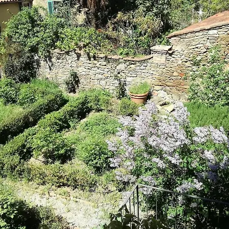 House With Private Garden In Cortona's Town Centre Casa vacanze